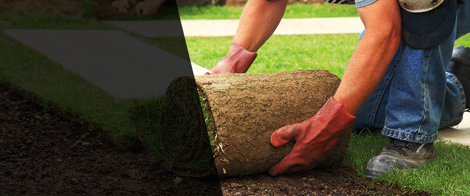 Prairie Du Sac Landscapers